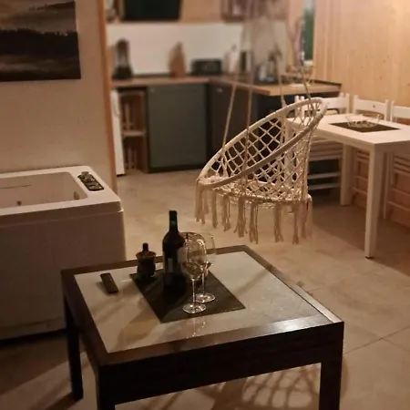 Apartment Mecenasa *