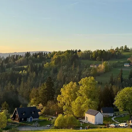 Mecenasa * Nieledwia