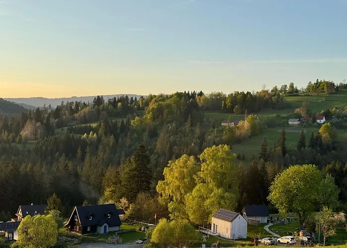 Mecenasa * Nieledwia